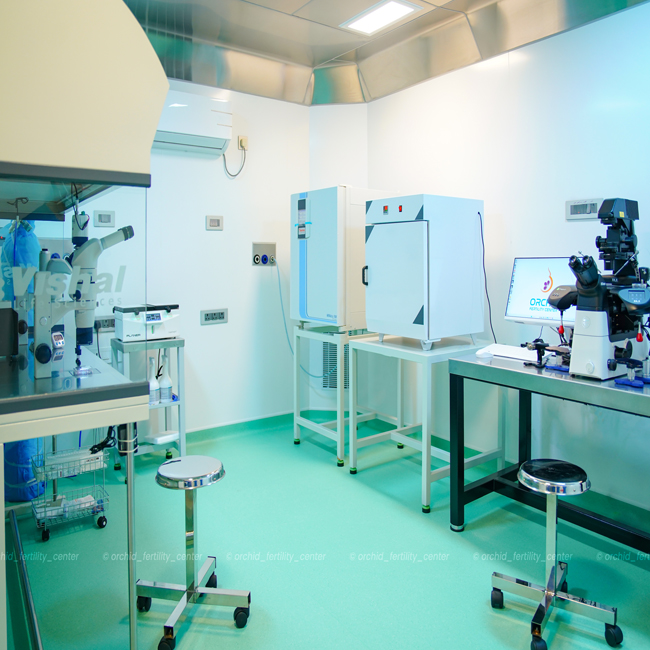 IVF-Laboratory