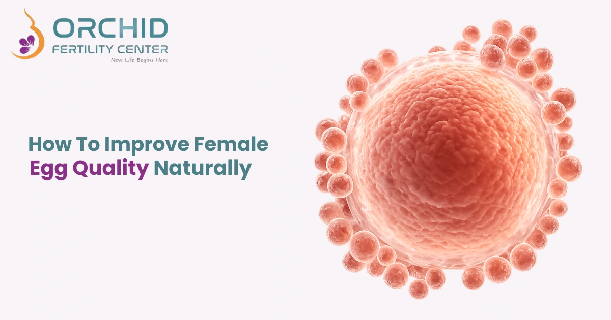 Improve female egg quality