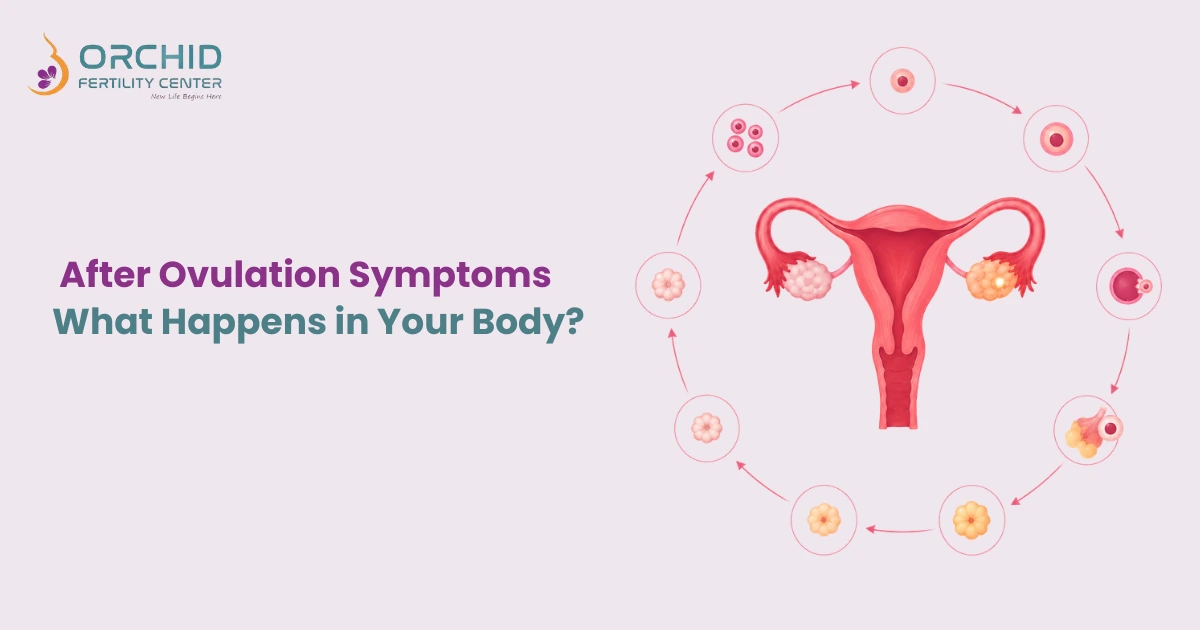 after ovulation symptoms