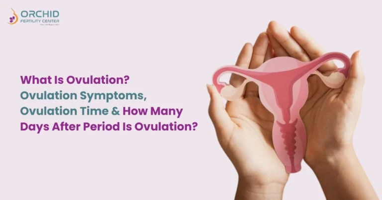 what is ovulation